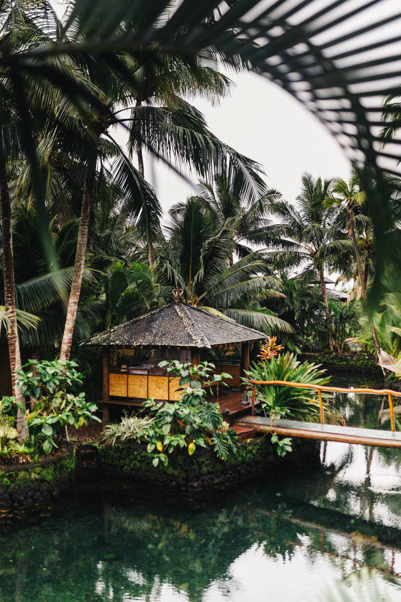 DRF’s Horse Racing Playbook for February 2021